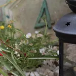 Centro Apartamento